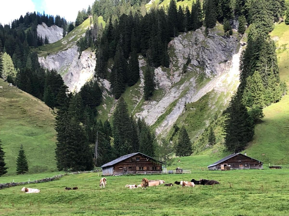 Walli Laterns - Ski Und Bergvergnuegen Direkt Vor Der Haustuer Εξωτερικό φωτογραφία